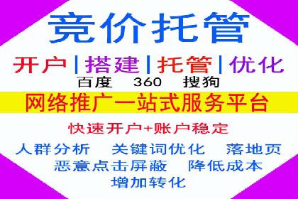 深度解析：百度竞价广告的投放效果与ROI